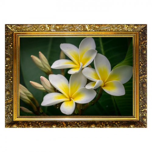 Алмазная мозаика «Плюмерия» 29,5×20,5 см, 25 цветов
