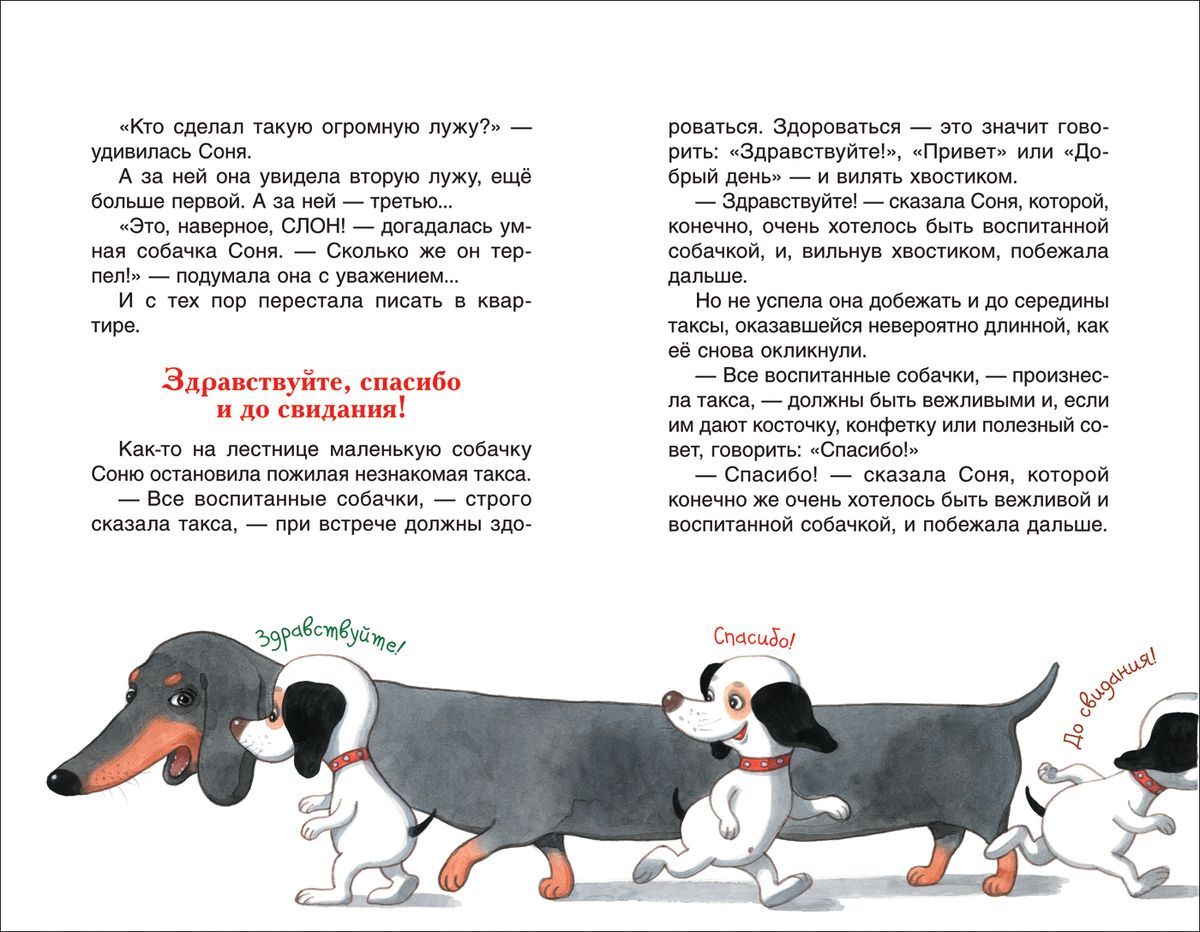 Умная и знаменитая собачка Соня