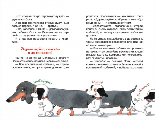 Умная и знаменитая собачка Соня