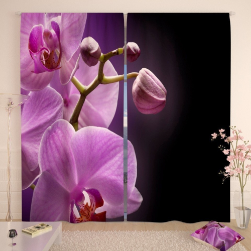 Фотошторы Орхидея в сумраке