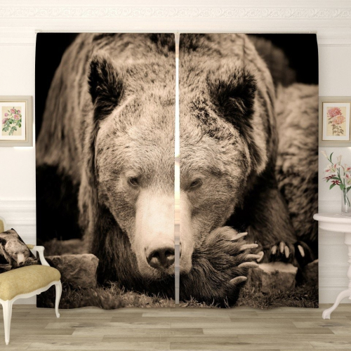 Фотошторы Бурый медведь