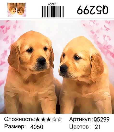 Q5299 Картины-раскраски по номерам 40х50