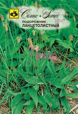 Подорожник ланцетолистный (0,5 г) Семко