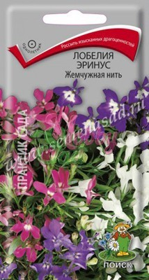 Цветы Лобелия Эринус Жемчужная нить (0,1 г) Поиск