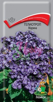 Цветы Гелиотроп Марина древоводный (0,03 г) Поиск