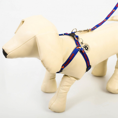 Комплект Super DOG: шлейка 28-47 см, поводок 120 см, адресник