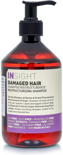 INSIGHT Шампунь для защиты и омоложения волос ANTIOXIDANT (400 мл)