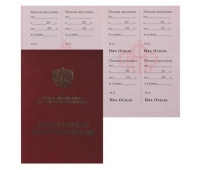 Бланк документа Пенсионное удостоверение, 70*98мм 121230