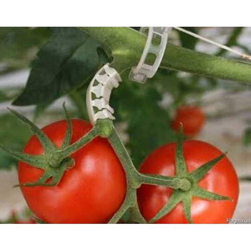 Держатель для поддержки кисти томатов 10шт в пакете HD006 х1000