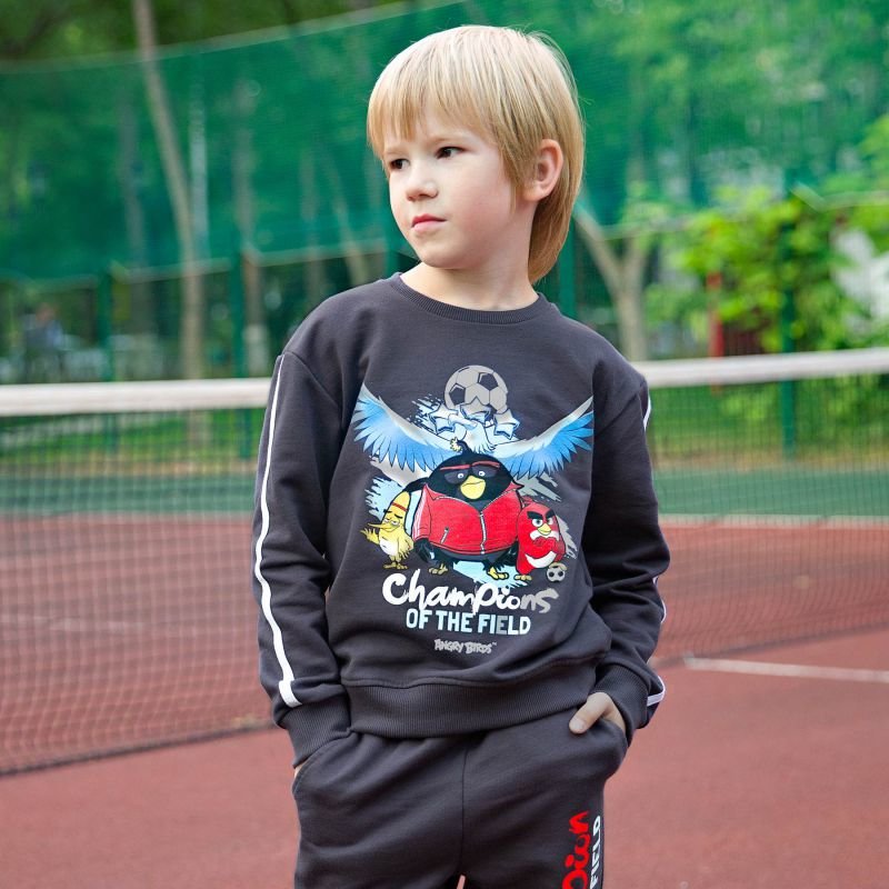 Свитшот 'Angry Birds' для мальчика 203АБ-461с
