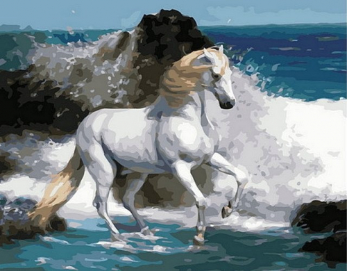 Картины по номерам 40х50 Белая лошадь у моря (В ПУТИ)