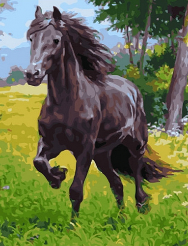Картины по номерам 40х50 Лошадь на лугу (В ПУТИ)