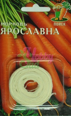 Морковь ЛЕНТА Ярославна (8м) Поиск
