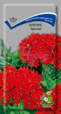 Цветы Лихнис Красный (0,1 г) Поиск