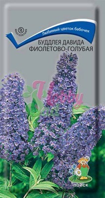 Цветы Буддлея Давида Фиолетово-голубая (0,01 г) Поиск