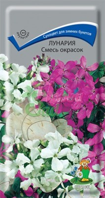 Цветы Лунария Смесь окрасок (0,2 г) Поиск