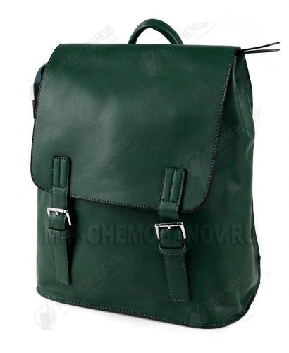 Рюкзак “Pyato” “Green”