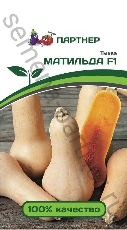 ТЫКВА МАТИЛЬДА F1. ПАРТНЕР