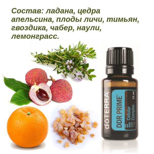 Ddr prime doterra. Ddr prime doterra смесь. ddr prime doterra масло. &quot;ддр прайм&quot; ddr prime дотерра.
