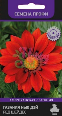 Цветы Газания (гацания) Нью Дей Ред Шейдес (гацания) (10 шт) Поиск Семена профи