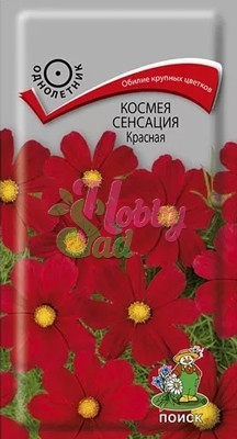 Цветы Космея Сенсация Красная (0,3 г) Поиск