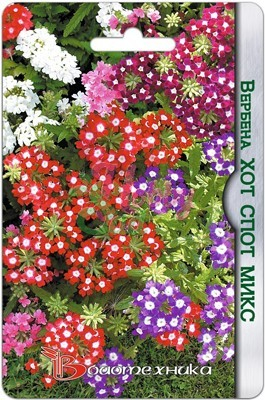 Цветы Вербена Хот Спот Микс (40 шт) Биотехника