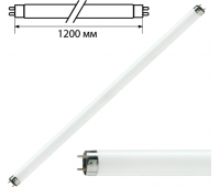 Лампа люминесцентная PHILIPS TLD 36W/33-640 G13