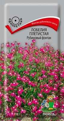 Цветы Лобелия Рубиновый Фонтан плетистая (0,1 г) Поиск