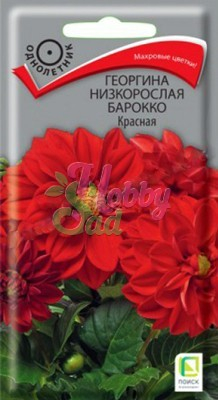 Цветы Георгина Барокко Красная низкорослая (0,1 г) Поиск