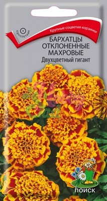 Цветы Бархатцы Двухцветный гигант отклоненные махровые (Тагетес отклоненный) (0,4 г) Поиск
