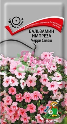 Цветы Бальзамин Импреза Черри Сплэш (10 шт) Поиск