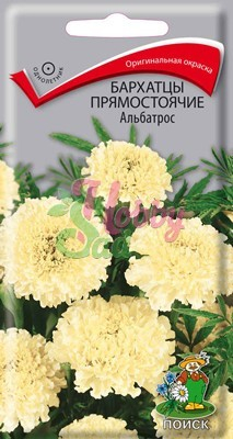 Цветы Бархатцы Альбатрос прямостоячие (Тагетес прямостоячий) (0,1 г) Поиск
