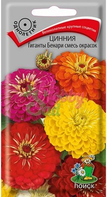 Цветы Цинния Гиганты Бенари смесь окрасок (10 шт) Поиск Семена профи