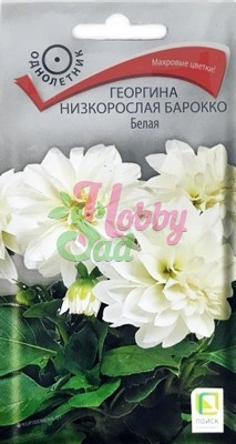 Цветы Георгина Барокко Белая низкорослая (0,1 г) Поиск