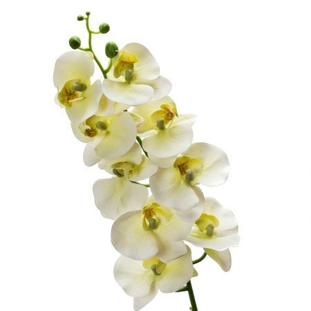 Орхидея латекс h 98см (9г.) белая с зеленым