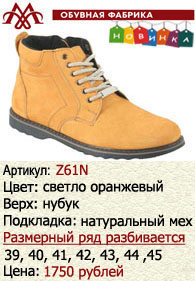 Зимняя обувь оптом: Z61N.