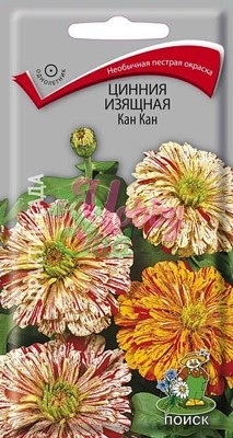 Цветы Цинния Кан Кан изящная (0,4 г) Поиск