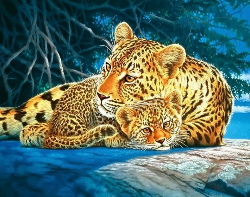 Картина по номерам 40х50 - Леопарды