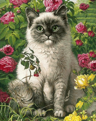 Картина по номерам 40х50 - Пушистый котик