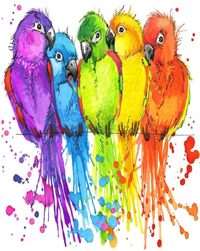 Картина по номерам 40х50 - Радужные попугаи
