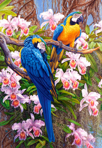 Картина по номерам 40х50 - Цветастые попугаи