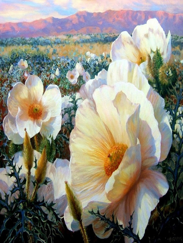 Картина по номерам 40х50 - Белые цветы