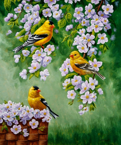 Картина по номерам 40х50 - Желтые птицы