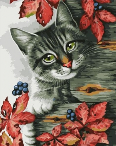 Кот и ягоды