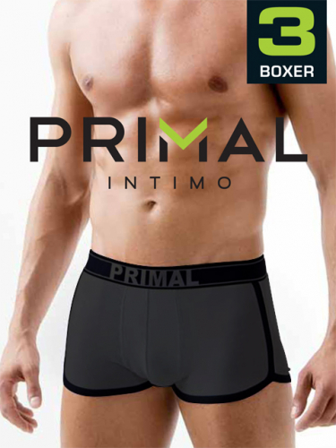 Трусы мужские PRIMAL B3430 (3 шт.) boxer