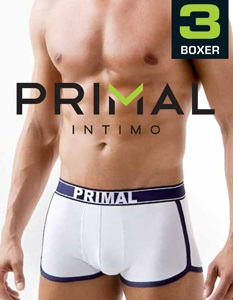 Трусы мужские PRIMAL B3430 (3 шт.) boxer
