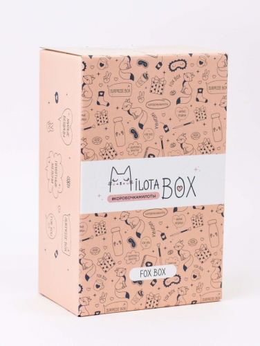 MilotaBox mini 