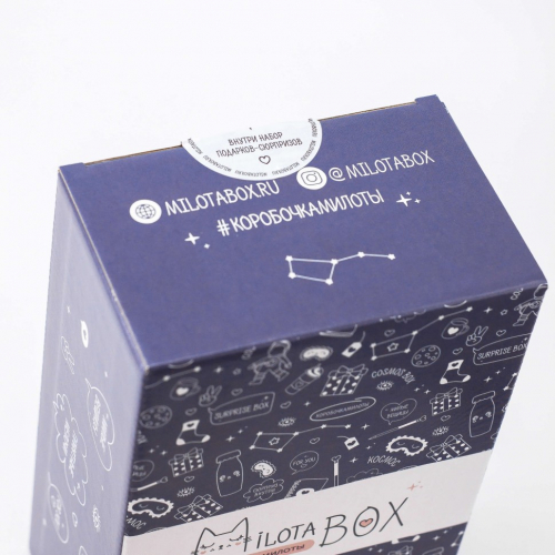 MilotaBox mini 