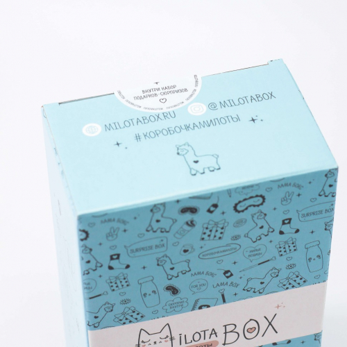 MilotaBox mini 