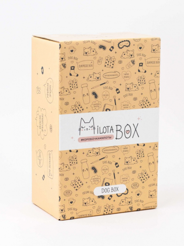 MilotaBox mini 